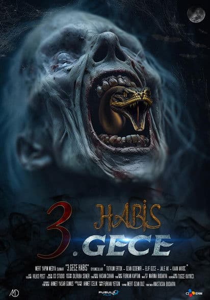 3. Gece Habis poster