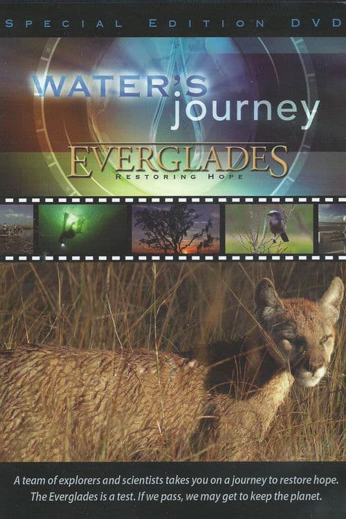 Water's Journey - Everglades: Restoring Hope