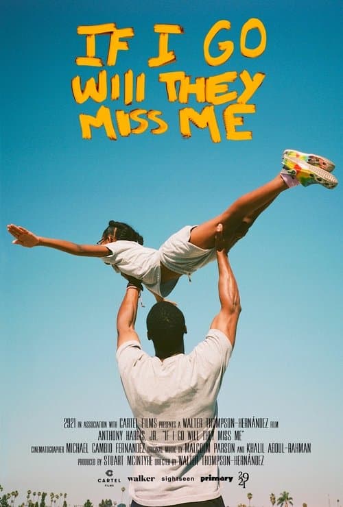 If I Go Will They Miss Me poster