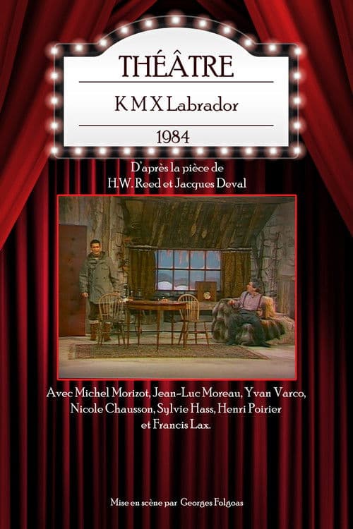 K M X Labrador poster