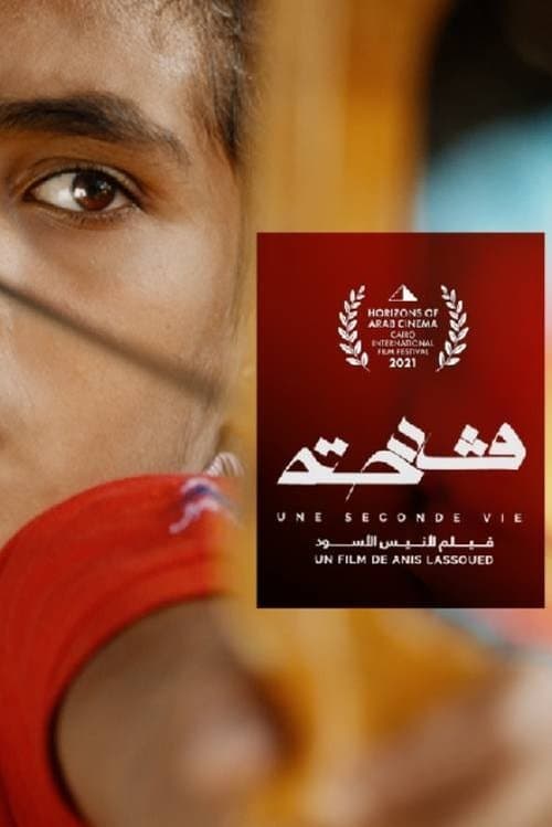 A Second Life poster