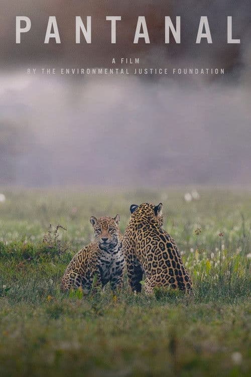 Pantanal poster