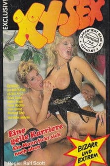 Eine geile Karriere - Ein Mann bumst sich nach oben poster