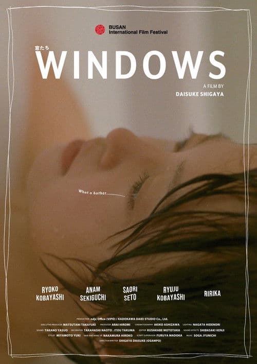 Windows poster