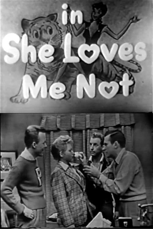 She Loves Me Not poster