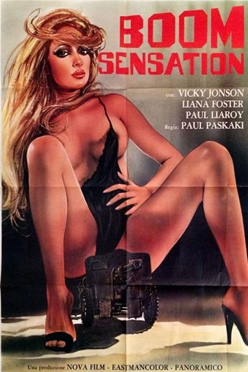 Boom Sensation poster