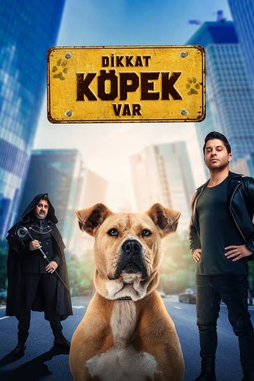 Dikkat Köpek Var poster