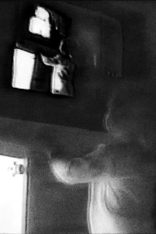 Bonjour la caméra poster