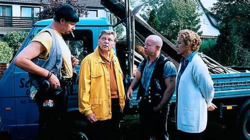 Der kleine Dachschaden poster