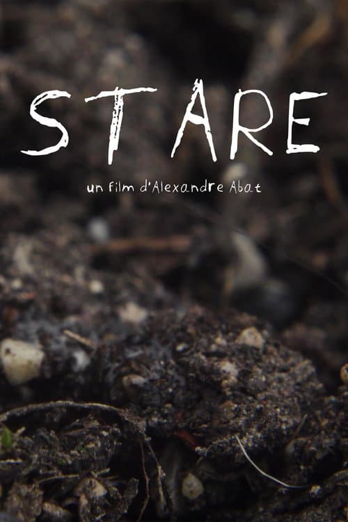 Stare poster
