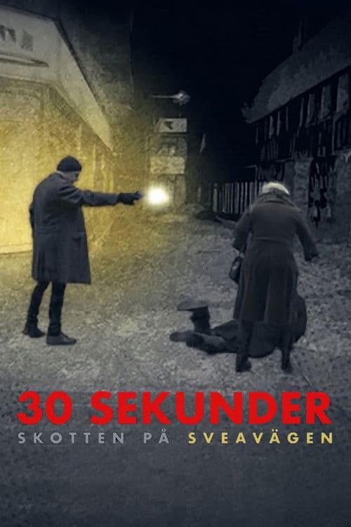 30 sekunder: Skotten på Sveavägen poster