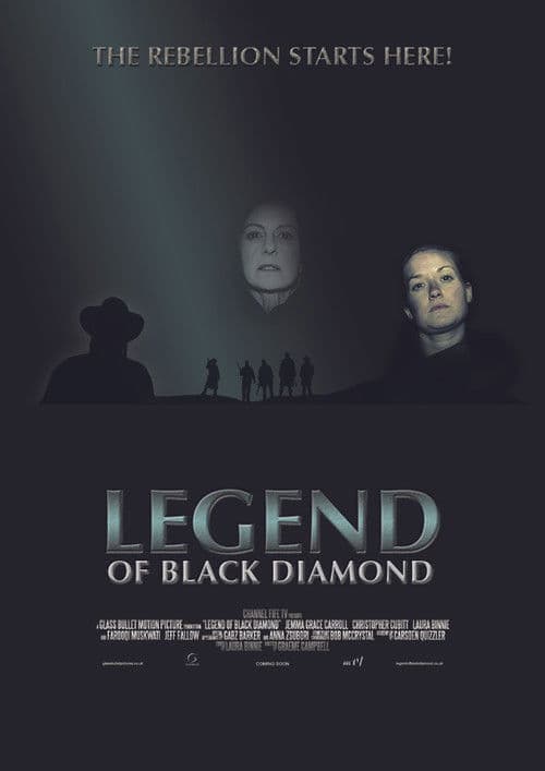 Legend of Black Diamond poster