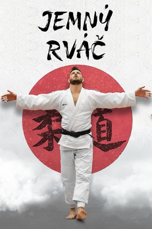 The Gentle Fighter poster