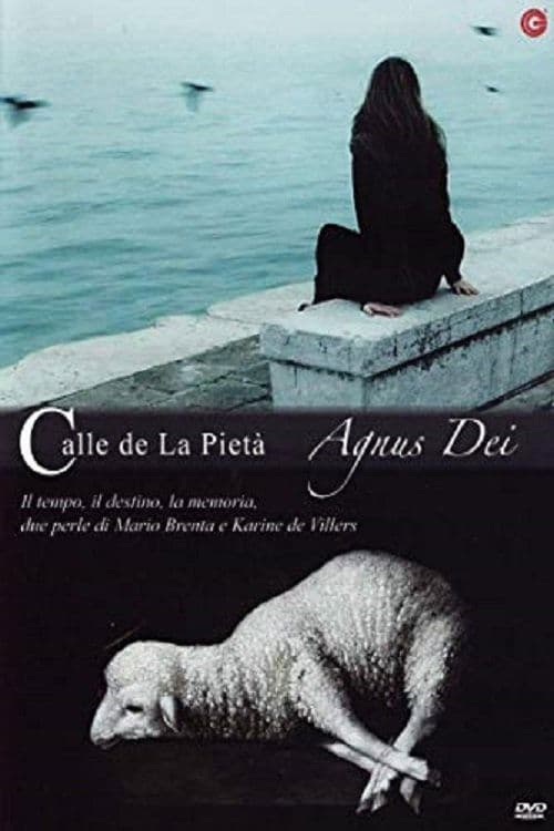 Calle de la pietà poster