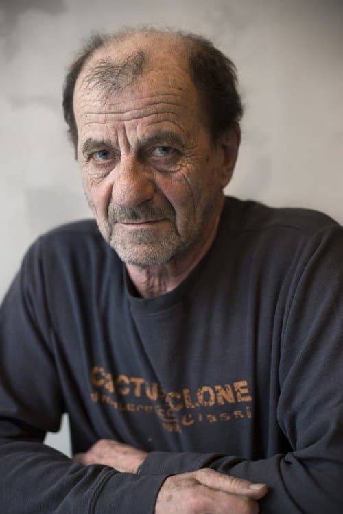 Székely B. Miklós profile photo