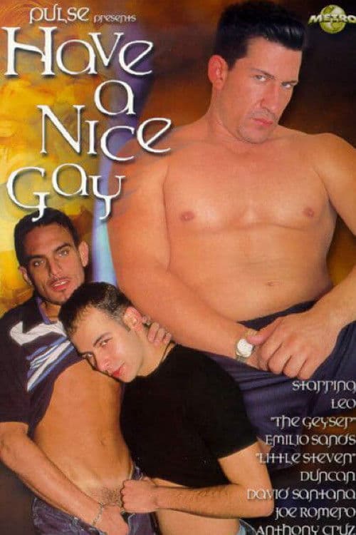 Have a Nice Gay poster