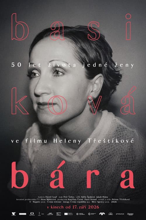 Bára - Diary of a Rockstar poster
