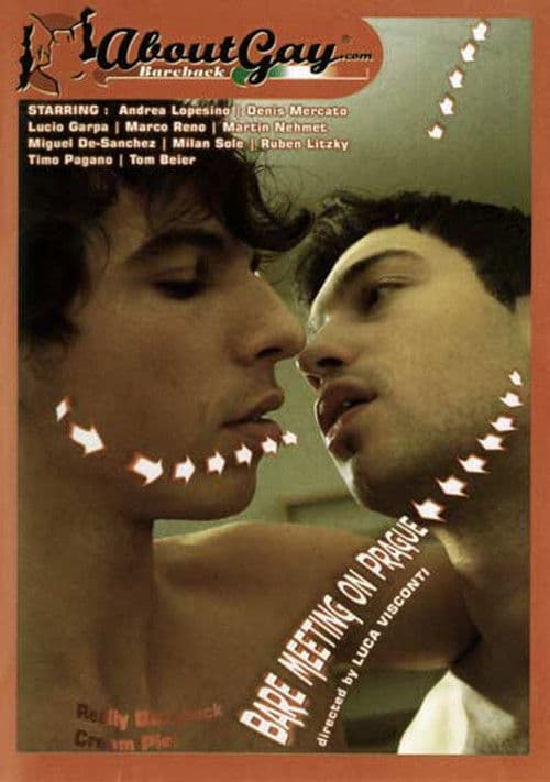 Bare Meeting On Prague poster