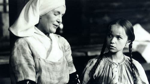 Husiarka a kráľ poster