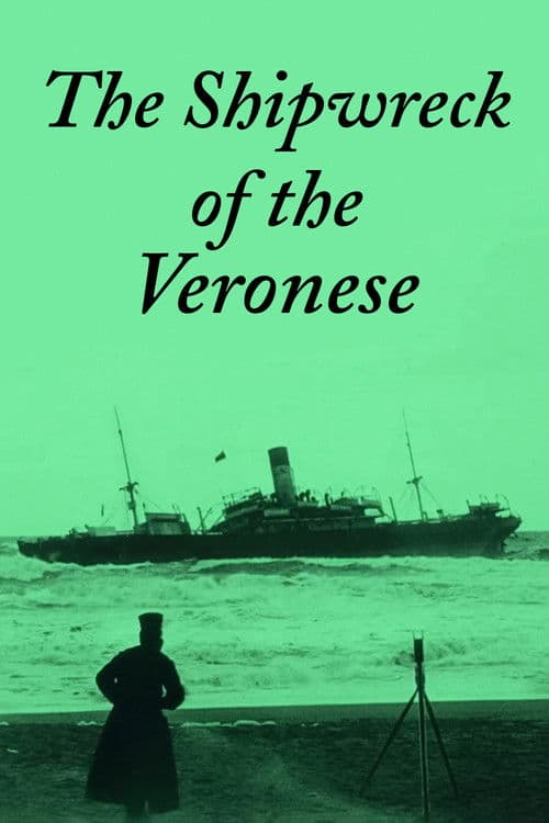 The Shipwreck of the Veronese poster