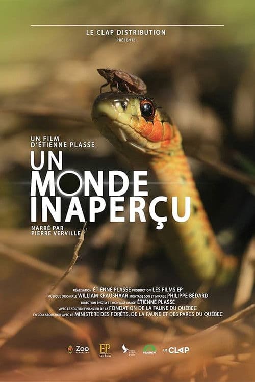 Un monde inaperçu poster