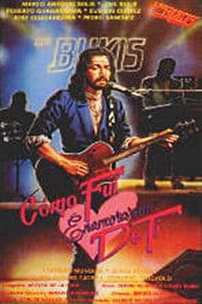 How Did I Come to Fall in Love With You? poster