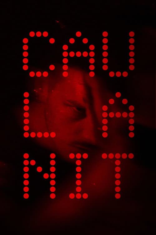 Night Falls poster