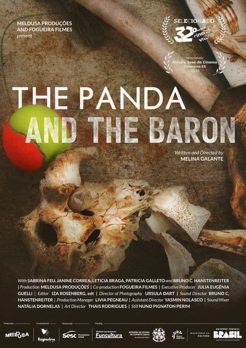 The Panda And The Baron poster