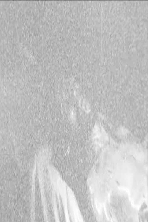 The Revelation: How I Was Struck at No. 29 Parrocchia Street poster