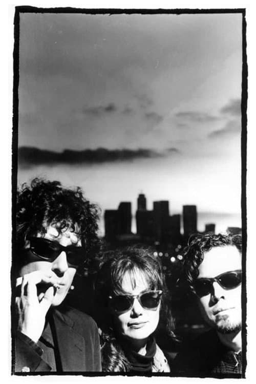 The Drywall Incident poster