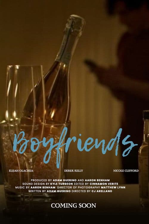Boyfriends poster