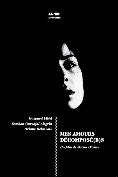Mes amours décomposé(s) poster