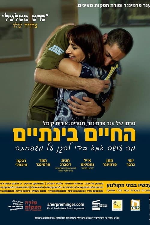 Present Continuous poster