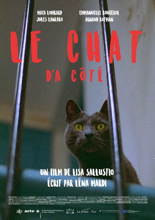 Le chat d'à côté poster