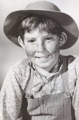 Stephen Wootton profile photo