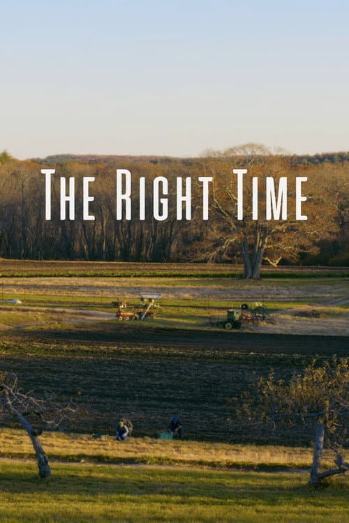 The Right Time poster