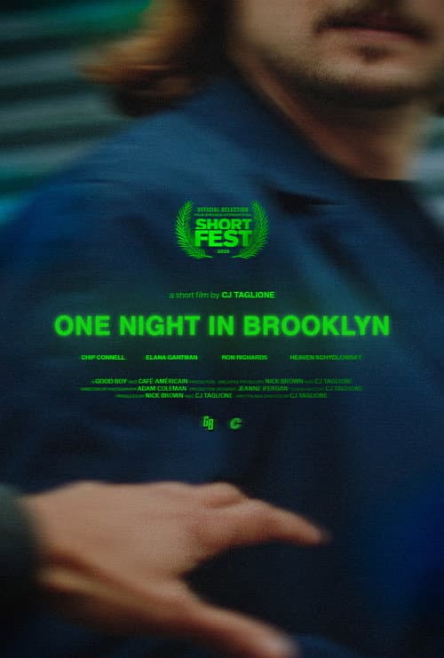 One Night in Brooklyn poster