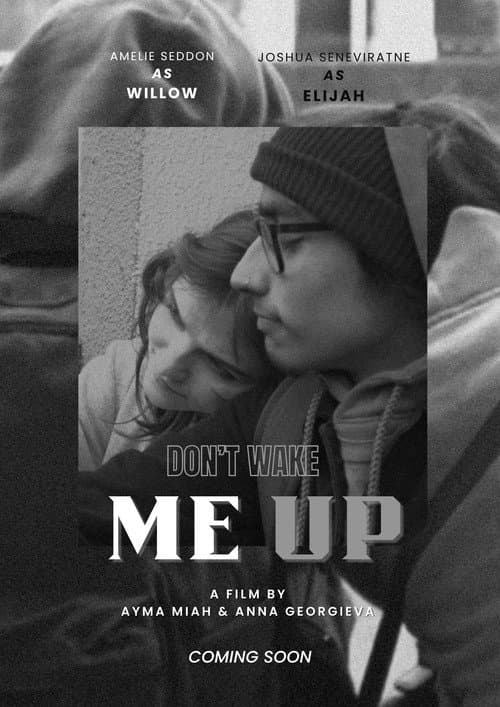 Don't Wake Me Up poster