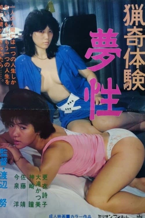 Bizarre Experience: Dreamy poster