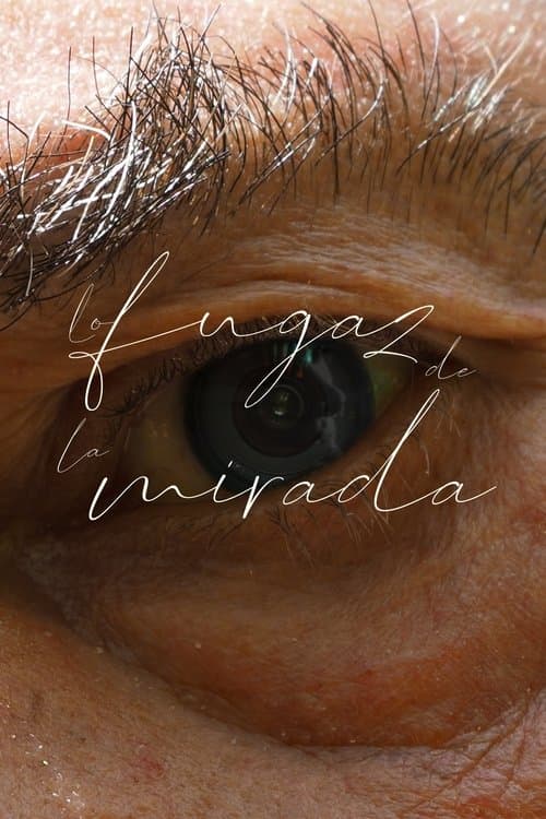 Lo fugaz de la mirada poster
