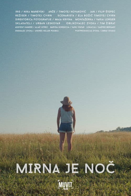 Tender is the Night poster