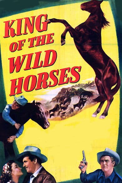 King of the Wild Horses poster