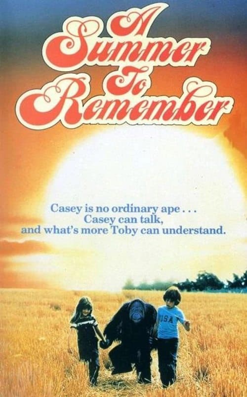 A Summer to Remember poster
