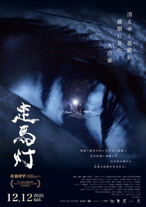 Revolving Lanterns poster