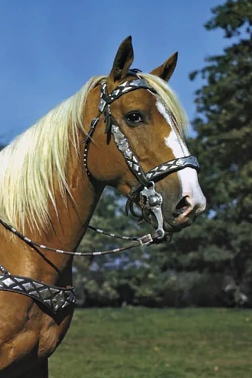 Trigger profile photo