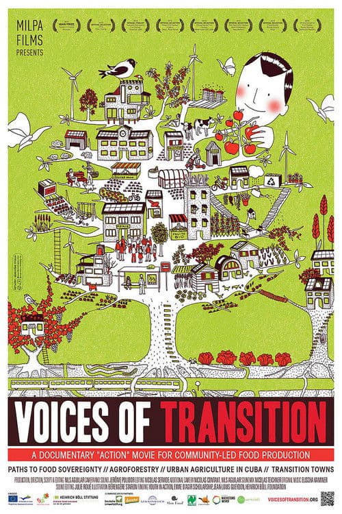 Voices of Transition poster