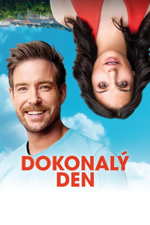 Dokonalý den poster