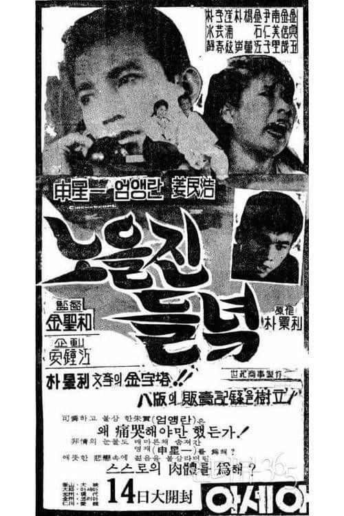 The Field Glow with the Setting Sun poster