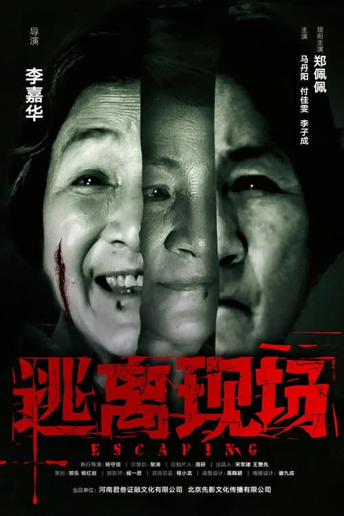 逃离现场 poster