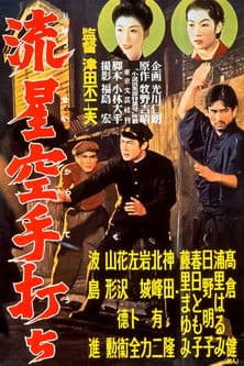 Meteor Karate Strike poster